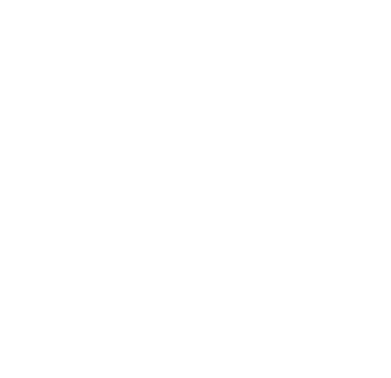 BJJ Camp Garmisch - Logo